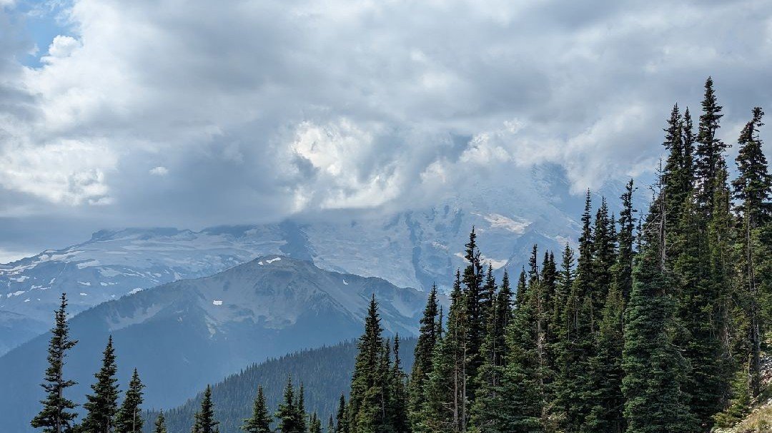 西雅图游记之二：Mt Rainier和U dub