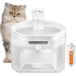 CAT CARE Cat Water Fountain-84oz
