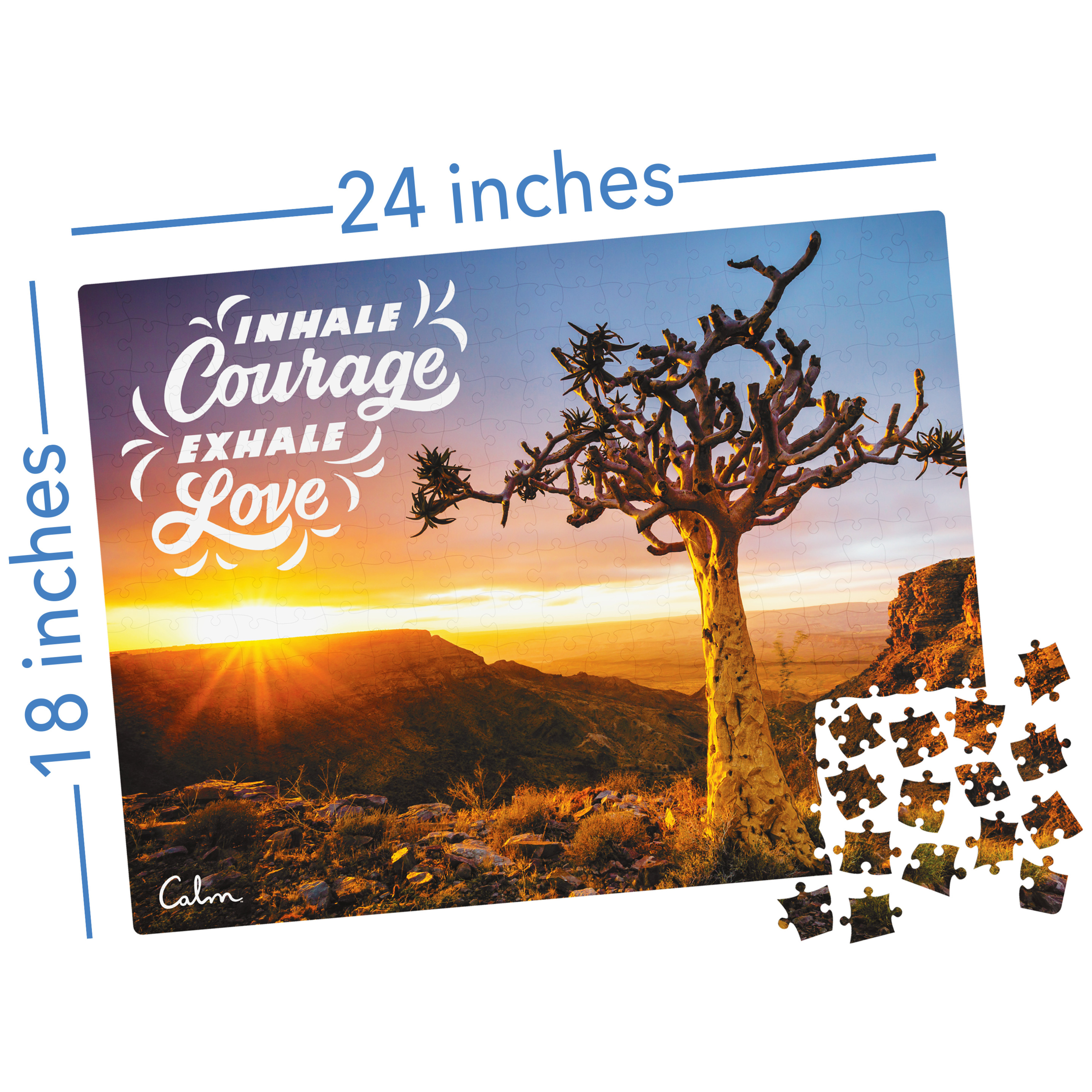 300-Piece Calm Jigsaw Puzzle and Storage Bag, Quiver Tree - Walmart.com