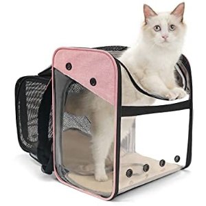 $15 猫咪旅行装有半价优惠。需输入折扣码C64M5CLW