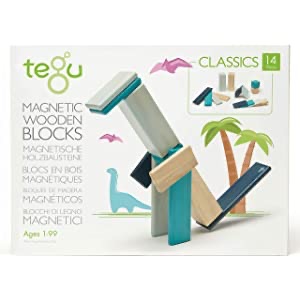 Amazon.com: 14 Piece Tegu Magnetic Wooden Block Set, Blues: Toys & Games玩具