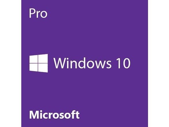 Microsoft Windows 10 Pro 数字版
