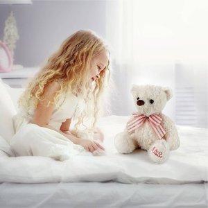 Target 泰迪小熊玩偶热卖 给你一个爱的抱抱