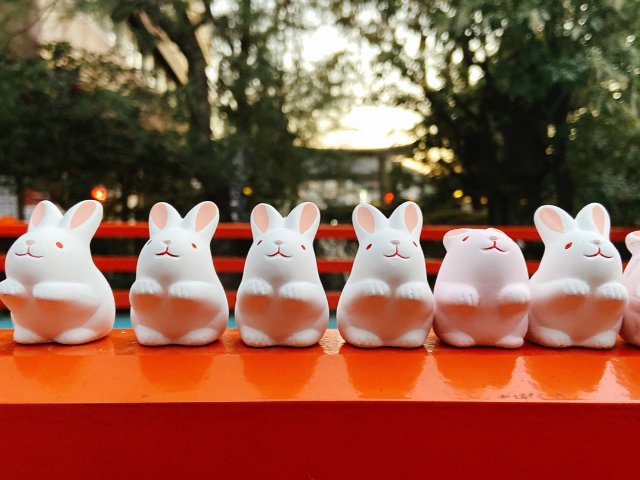 日妆小公举空瓶小归纳❤️