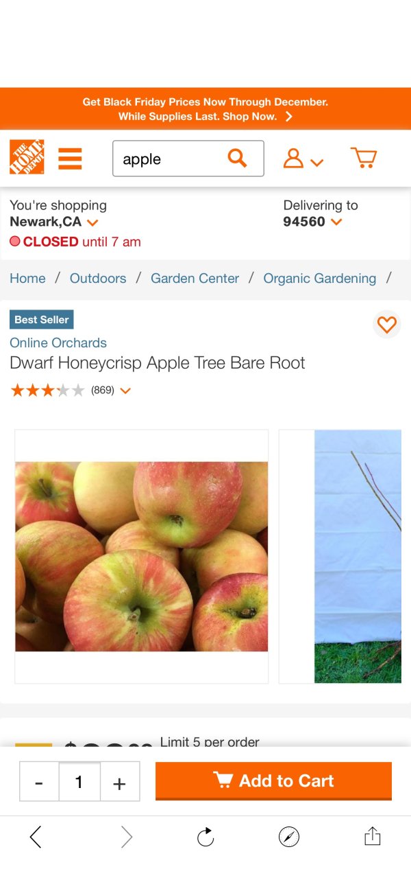 Online Orchards Dwarf Honeycrisp Apple Tree Bare Root-Apple - The Home Depot