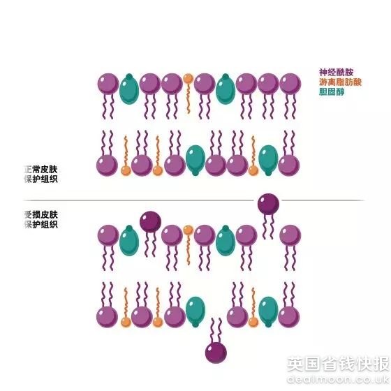 e15b991cceaf4e97d6e8586.jpg