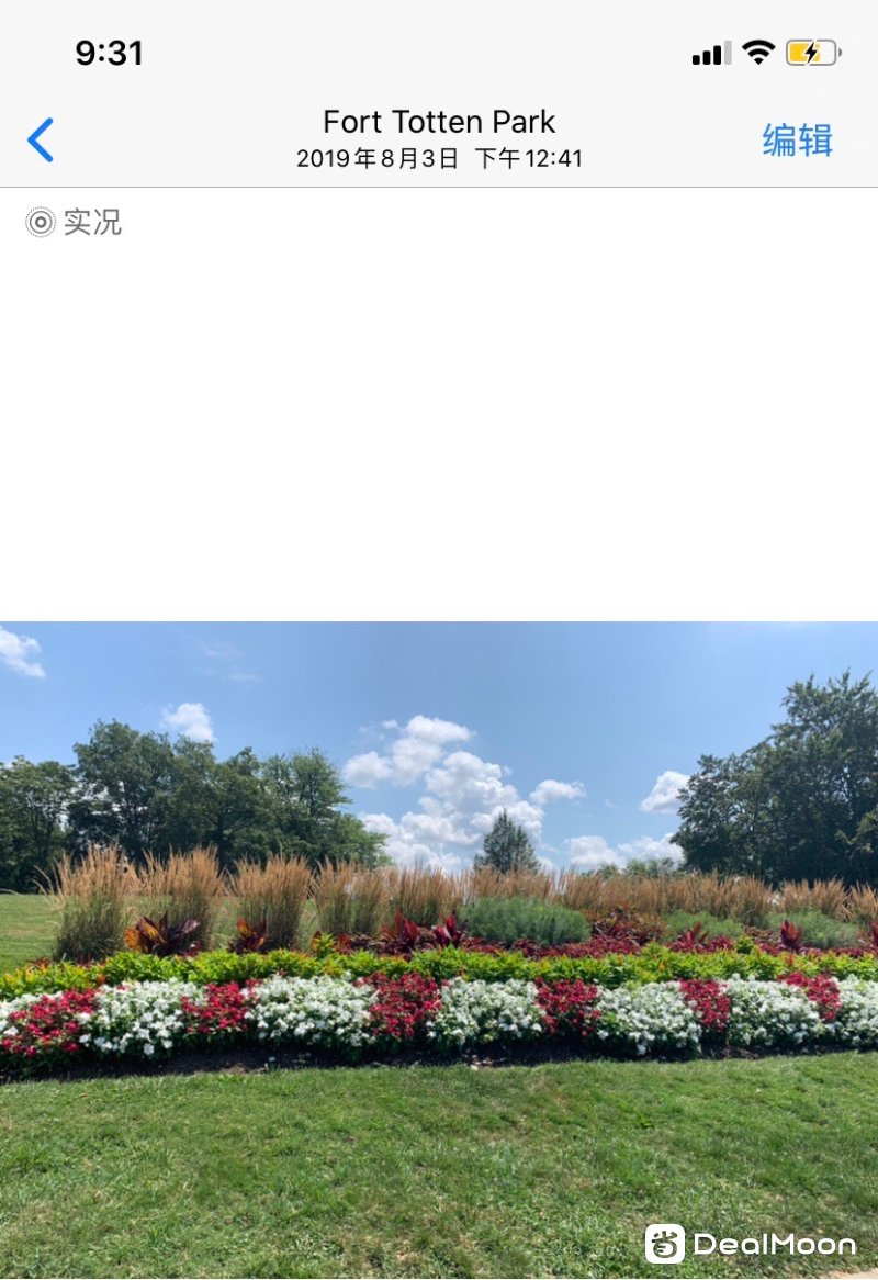46f87ad4ca9146ecc6199ef.jpg