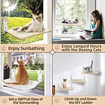 AMOSIJOY Cordless Cat Window Perch, Cat Hammock for Wall with 4 Suction Cups, Anchor&Screw for Two Ways of Installation, Solid Metal Frame and Two Covers, Foldable Cat Beds for Indoor Cats (Large) : Pet Supplies
