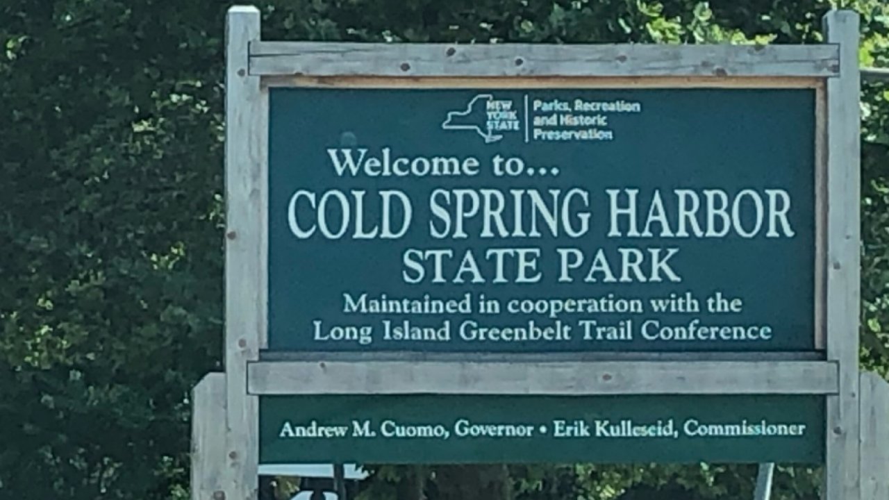 那些年我登过的山 ⛰️ Cold Spring State Park