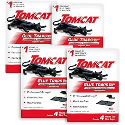 Tomcat 专业捕鼠贴 16张 捕捉老鼠和各类害虫