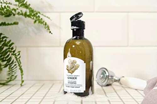 Amazon.com : The Body Shop Ginger Scalp Care Shampoo, 8.4 Fluid Ounce : Hair Shampoos : Beauty洗发水