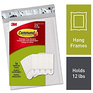 Command Picture Hanging Strips, Holds Up to 12 lbs., 16 Pairs (32 Strips), Indoor Use - - Amazon.com
