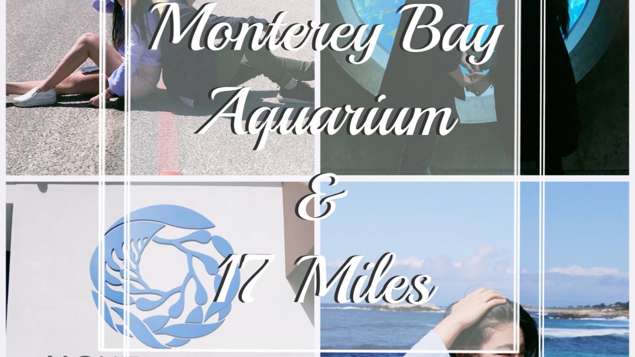 湾区｜Monterey Bay Aquarium & 17miles Drive