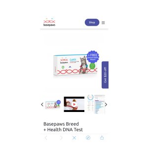 $129 Cat DNA Test Kit 猫咪基因测试套装| Breed, Health, and Traits Report from Basepaws