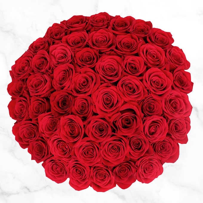 Pre-Order Valentine's Day 50-stem Red Roses玫瑰花