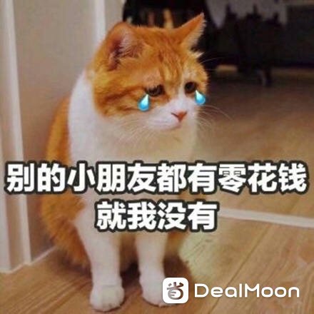09b10448be6eedfa624cd8b.jpg