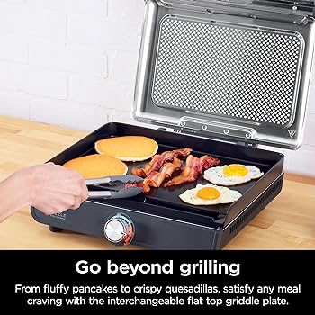 Amazon.com: Ninja GR101 Sizzle Smokeless Indoor Grill & Griddle, 14'' Interchangeable Nonstick Plates, Dishwasher-Safe Removable Mesh Lid, 500F Max Heat, Even Edge-to-Edge Cooking, Grey/Silver: Home &