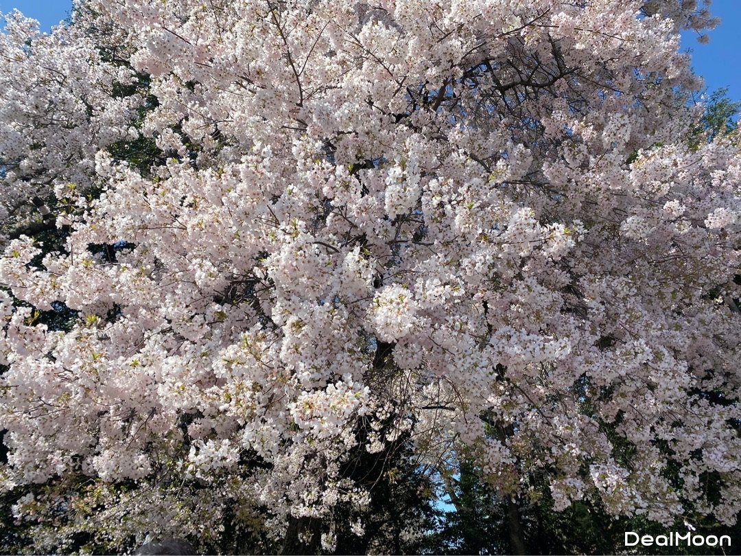 1bd2145301e37e3f1a80307.jpg