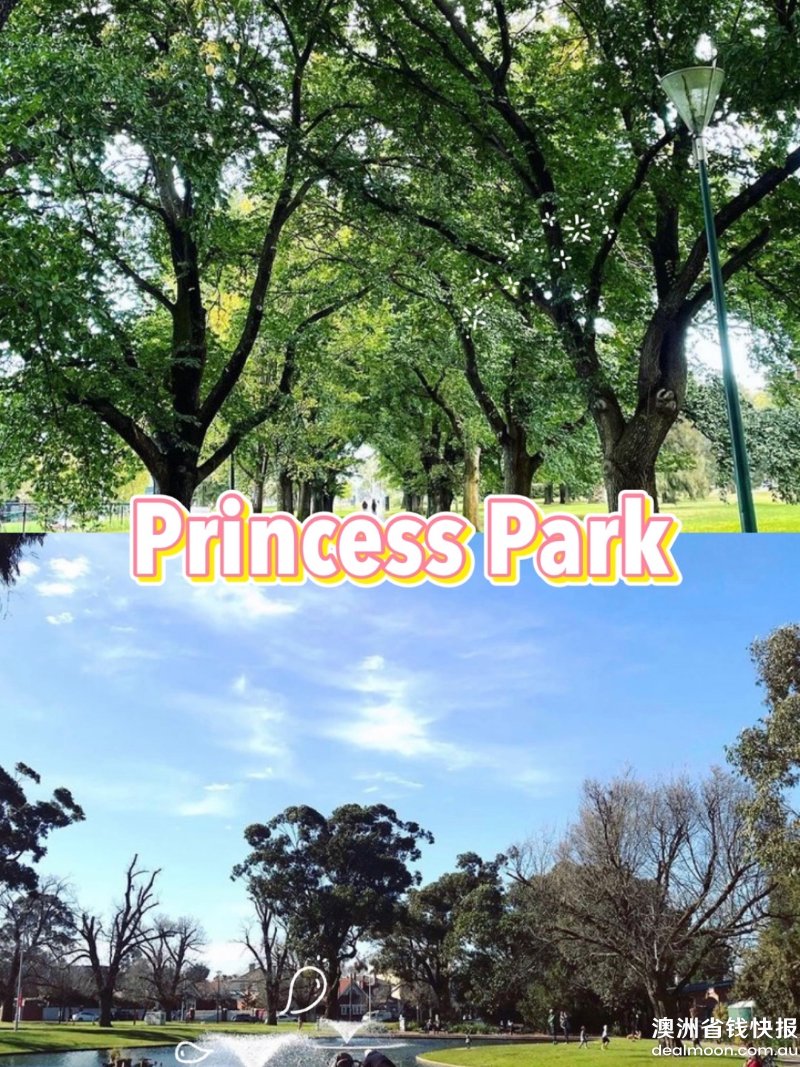 4a173b62507419597935bc9.jpg