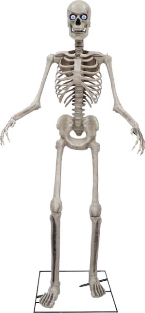 Seasonal Visions International 8ft Towering Skeleton with posable arms moving jaw 5124886 - Best Buy