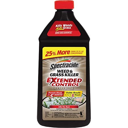 Weed and Grass Killer With Extended Control Concentrate 40 fl Oz