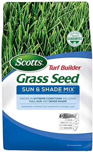 Scotts Turf 草籽 Builder Grass Seed Sun & Shade Mix with WaterSmart Plus Coating Technology, 40 lbs.