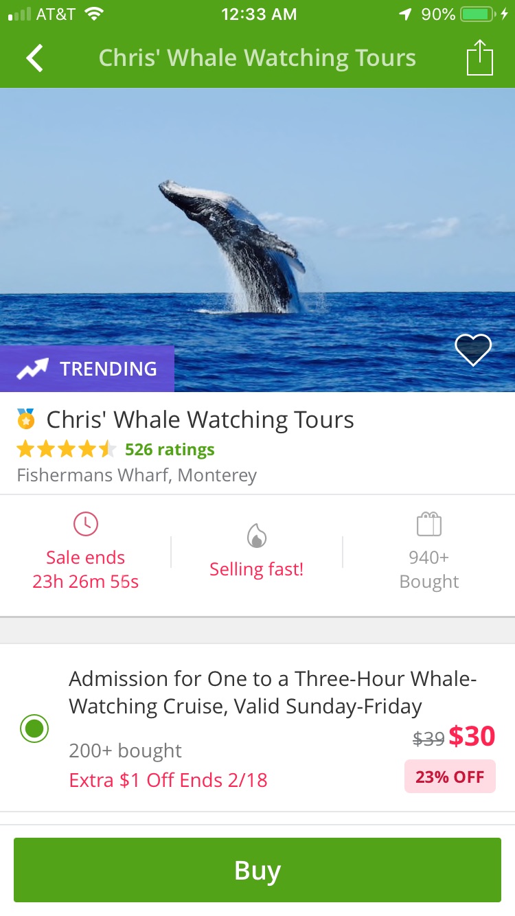 观鲸鱼 whale+watching+monterey