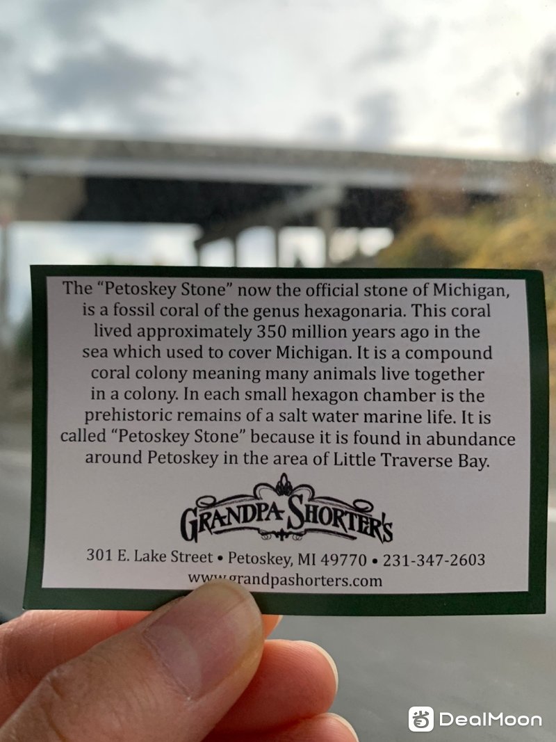 31940282e329fde5f07e441.jpg