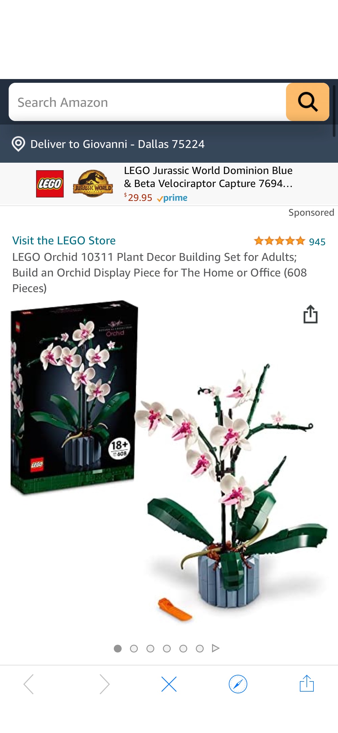 Amazon LEGO 兰花补货啦