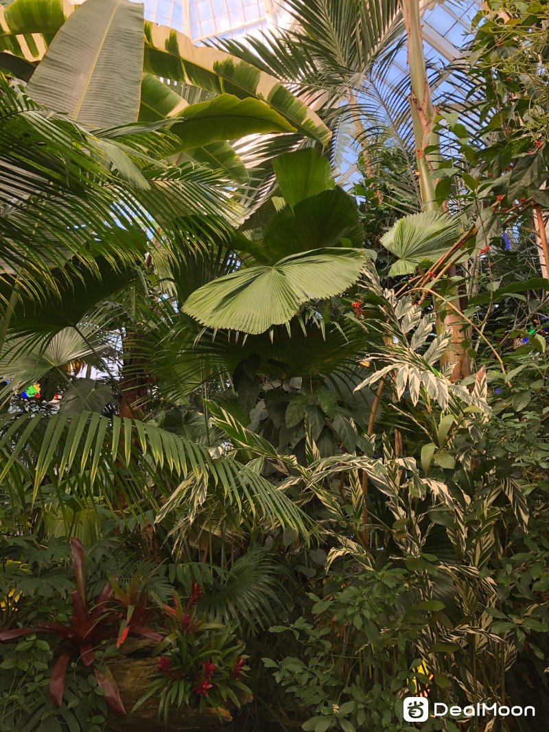 eab44845dc1f22e1f6331e3.jpg
