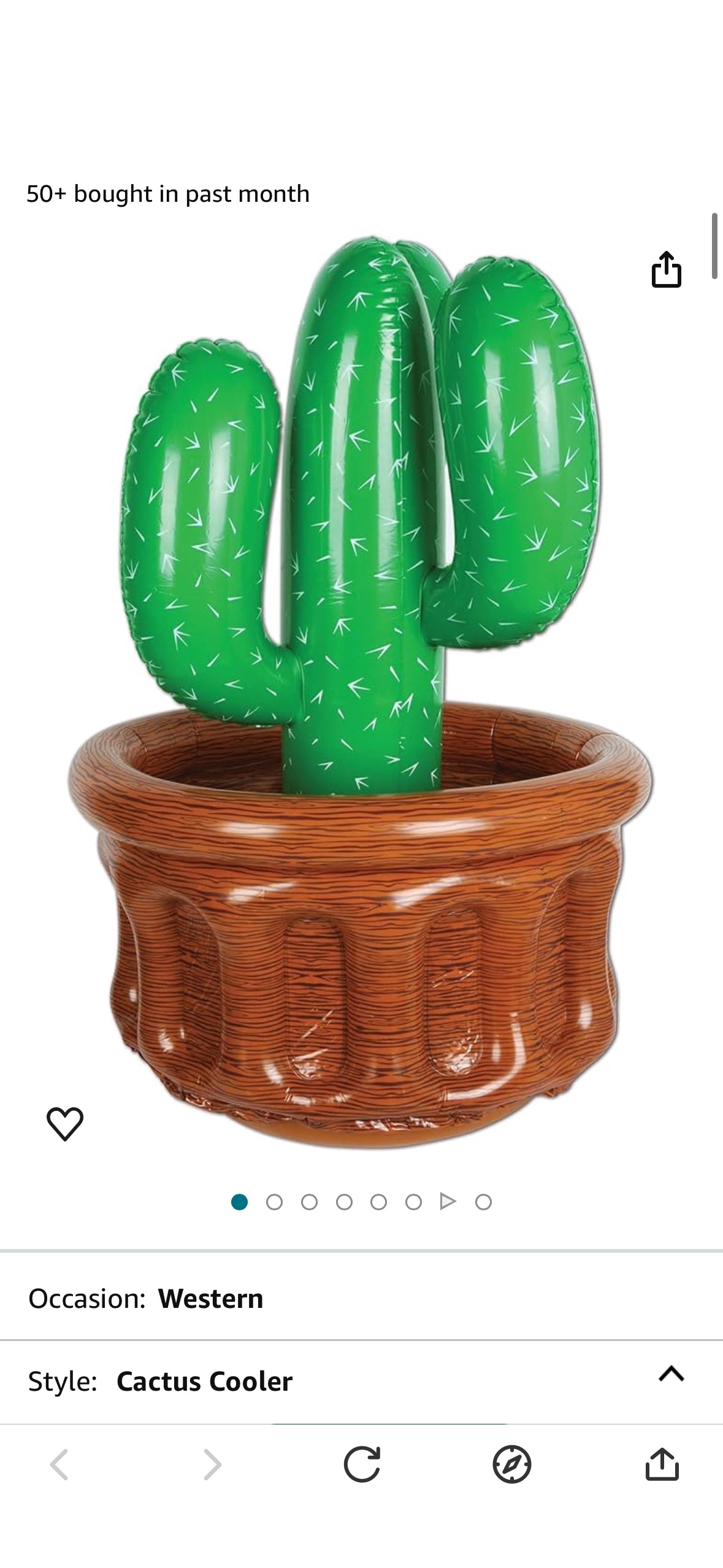 Amazon.com: Beistle Inflatable Cactus Cooler : Home & Kitchen