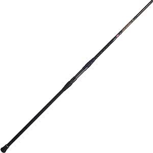 Amazon.com : PENN Squadron III 12’ Surf Spinning Fishing Rod; 2-Piece, 20-40lb Line Rating, Heavy Rod Power, Moderate Fast Action, 4-8 oz. Lure Rating, Titanium/Red/Gold : Sports &amp; Outdoors