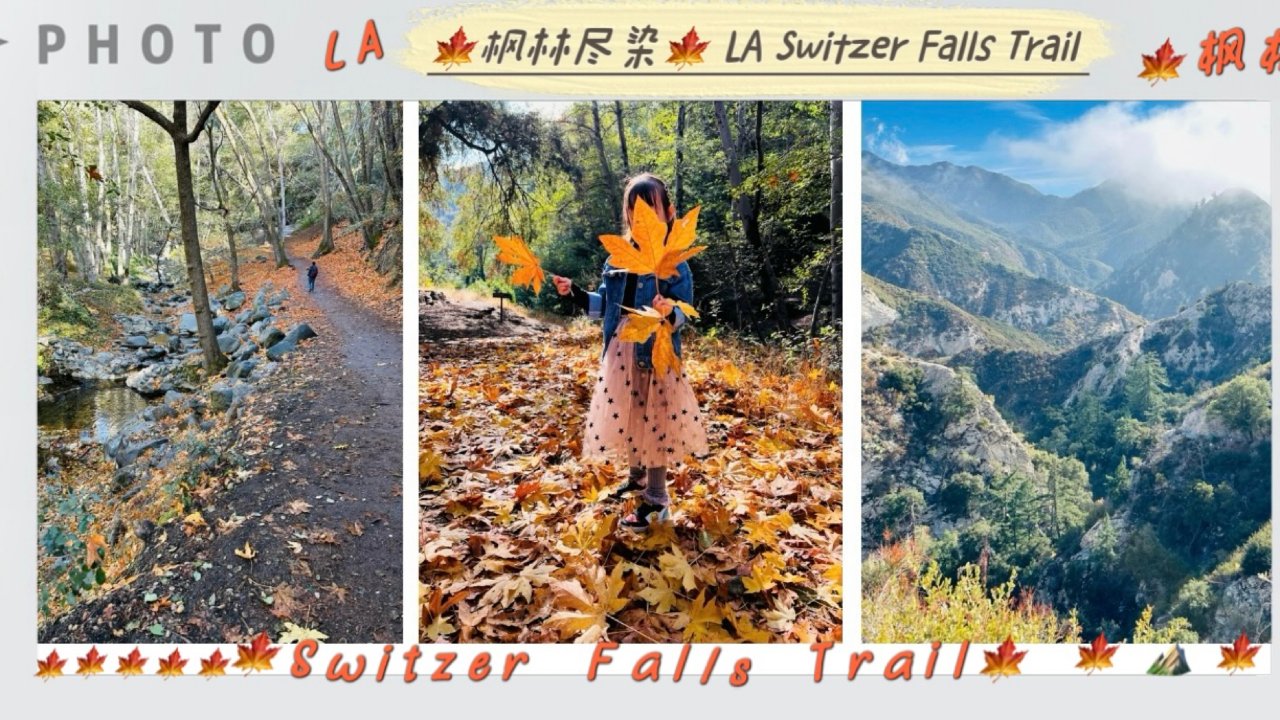 🍁枫林尽染LA Switzer Falls Trail 