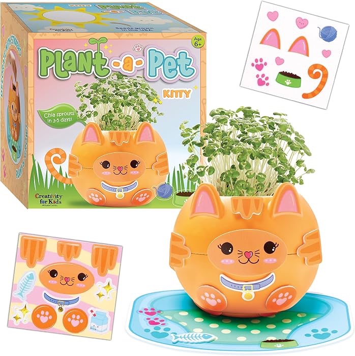 Creativity for Kids 貓咪栽培套組