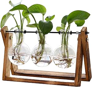 Amazon.com: XXXFLOWER Plant Terrarium with Wooden Stand, Air Planter Bulb Glass Vase Metal Swivel Holder Retro Tabletop for Hydroponics Home Garden Office Decoration - 3 Bulb Vase : Home &am