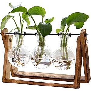 $9.85 Amazon.com: XXXFLOWER Plant Terrarium with Wooden Stand, Air Planter Bulb Glass Vase Metal Swivel Holder Retro Tabletop for Hydroponics Home Garden Office Decoration - 3 Bulb Vase : Home &am