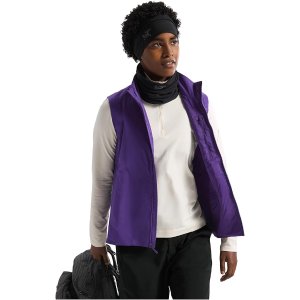 $140 Women's Arc'teryx Atom Vest | Zappos.com