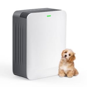 $92.95 EdenDirect 4-Speed Sleep Mode and Timer Setting White HEPA Air Purifier (Covers: 1485-sq ft ) in the Air Purifiers department at Lowes.com