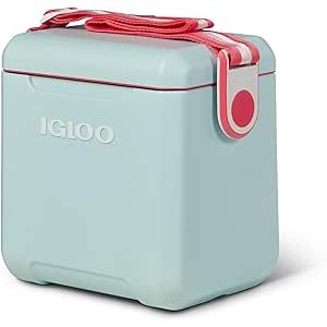 $39.98  Amazon.com : Igloo Mist 11 Qt Tag Along Too Strapped Picnic Style Cooler : Sports & Outdoors