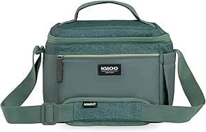 Amazon.com : Igloo Spruce Everyday Lunch Rounded Cube 12 : Sports &amp; Outdoors