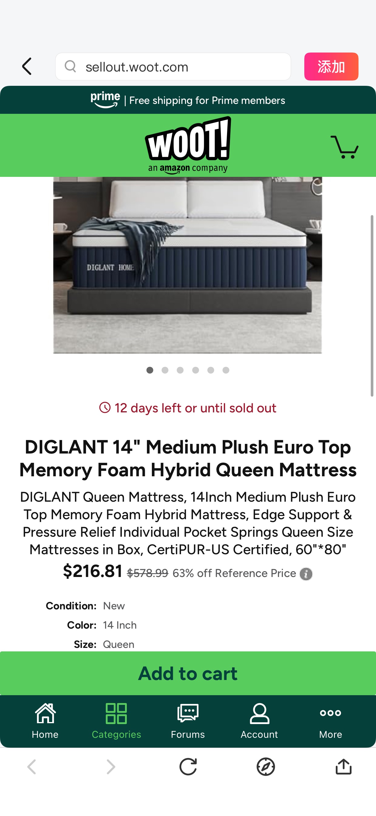 DIGLANT 14" Medium Plush Euro Top Memory Foam Hybrid Queen Mattress