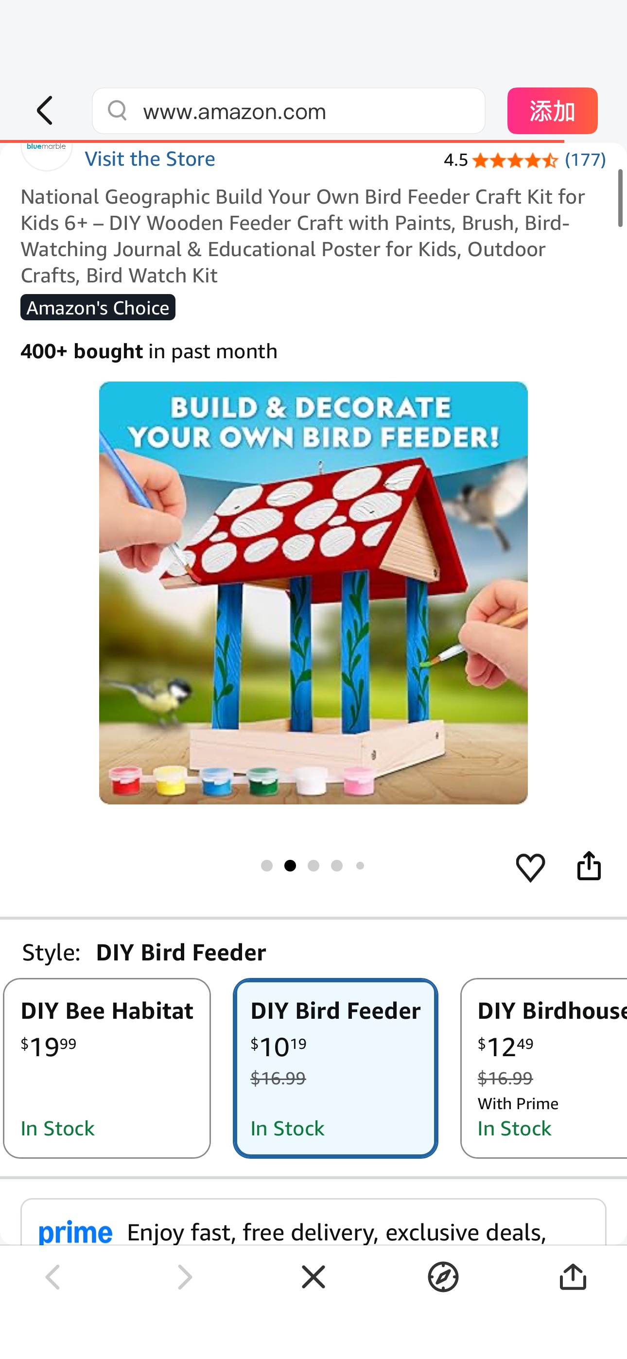 Amazon.com: National Geographic Build Your Own Bird Feeder Craft Kit for Kids 6+ – DIY Wooden Feeder Craft with Paints, Brush, Bird-Watching Journal & Educational Poster for Kids, Outdoor Crafts, Bird