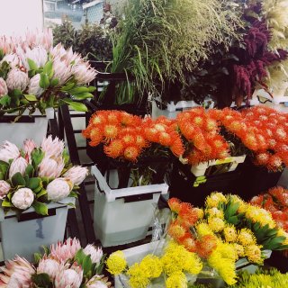 纽约花市Flower Market｜周末...