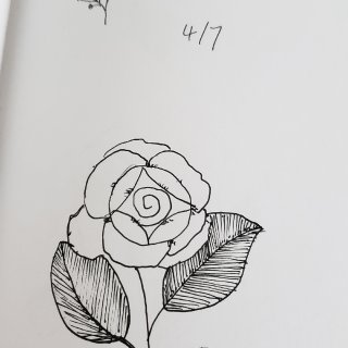 21天自律计划-每天画一朵花✍🏼🌹🌷🌸🌺...