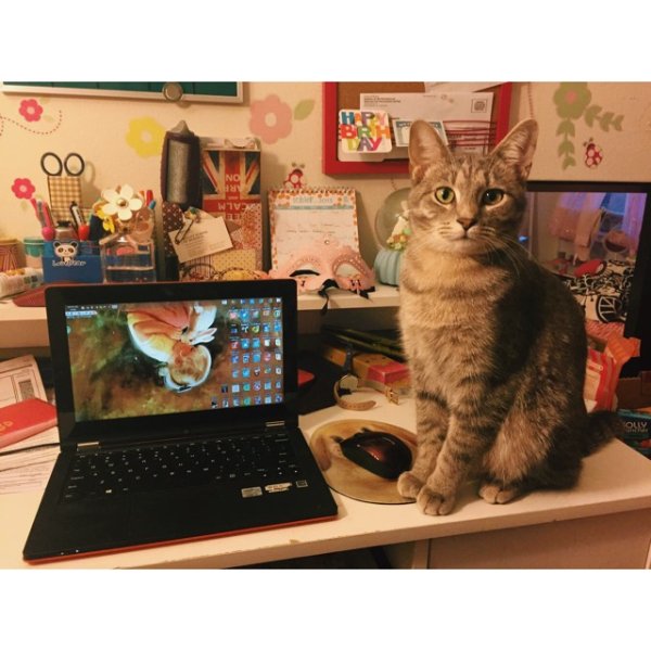 晒货图片