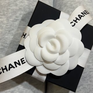 Chanel 胸针
