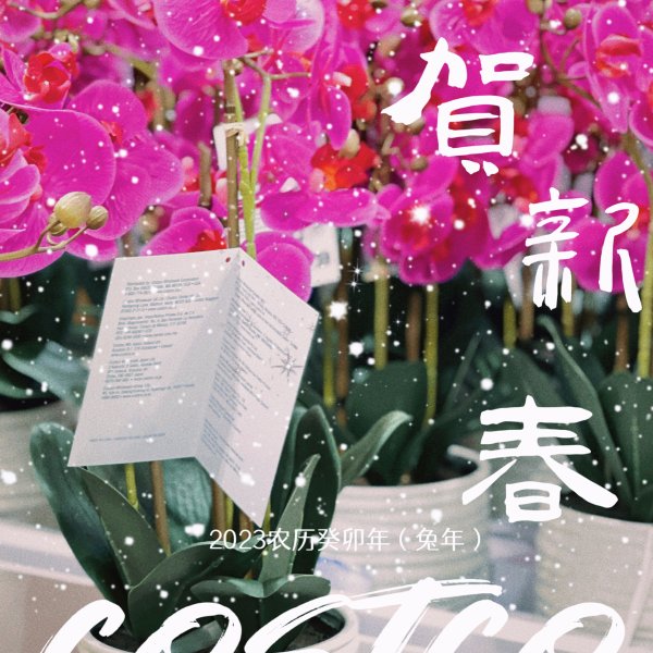 晒货图片