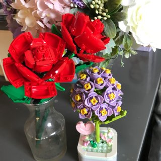 在Temu和Shein上买的花花，情人节...