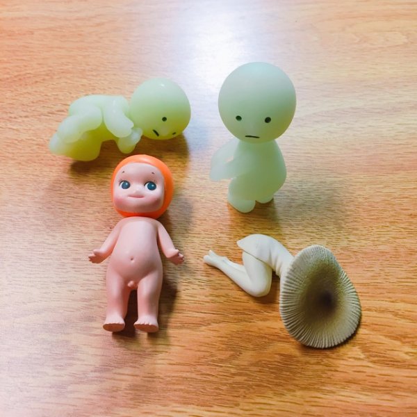 晒货图片