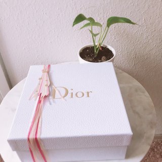 Dior圣诞礼盒最后一直刷到绝望，终于刷...